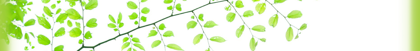 あい心理相談室　こども・子育ての悩み