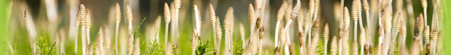 あい心理相談室　夫・彼・異性との悩み