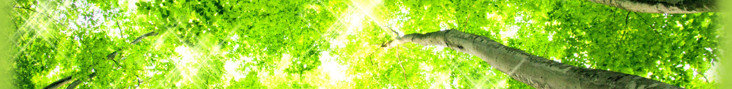 あい心理相談室　親・親族との悩み