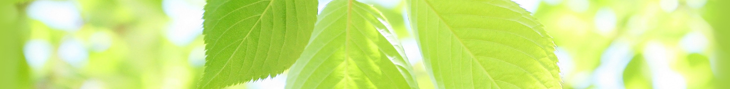 あい心理相談室