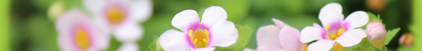 あい心理相談室