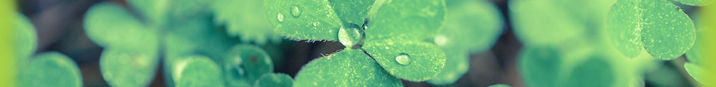 あい心理相談室