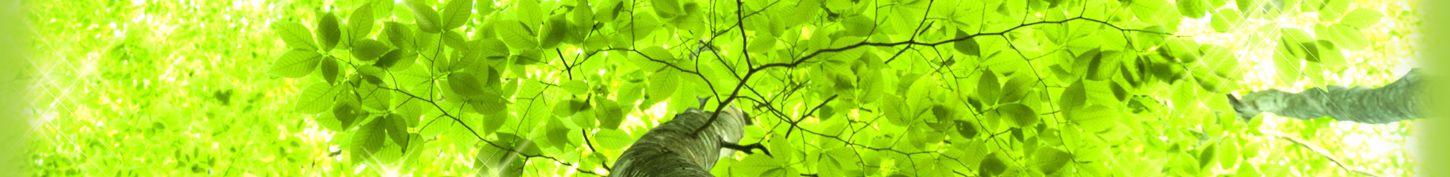 あい心理相談室