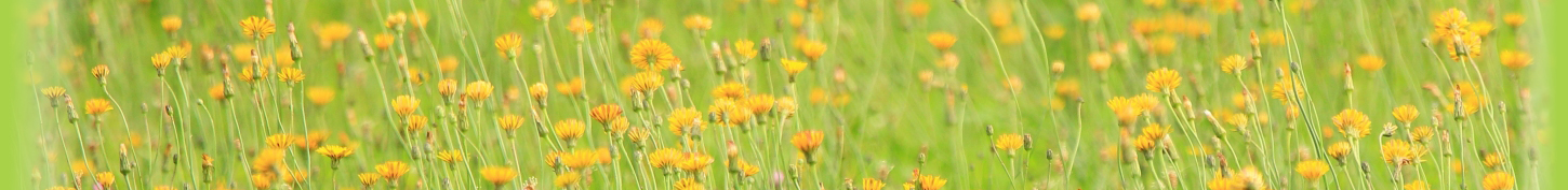 あい心理相談室　心の傷（トラウマ）の治療