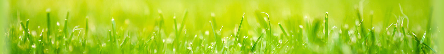 あい心理相談室　グループセラピー