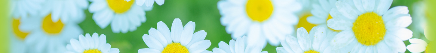 あい心理相談室